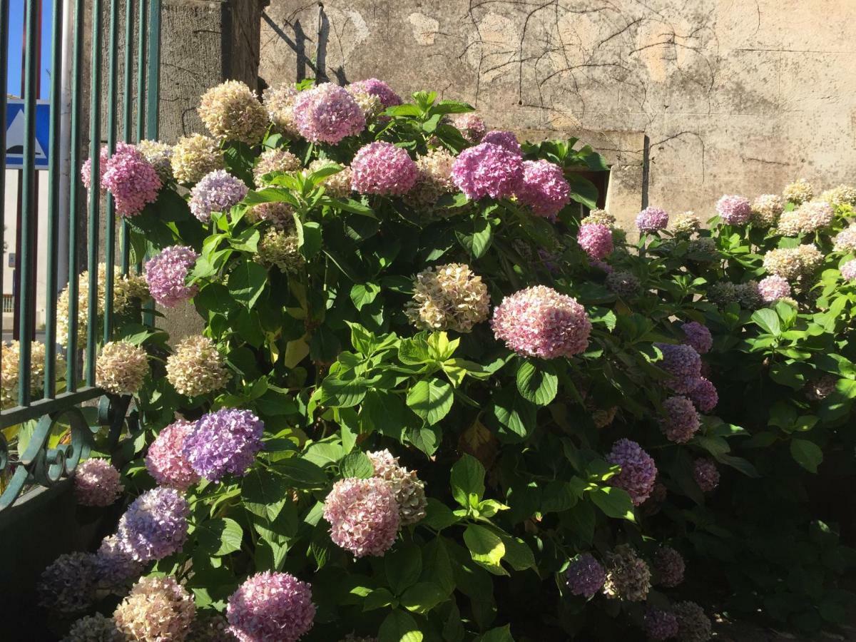 Bed and Breakfast Domaine De Brousson La Tour-sur-Orb Exterior foto